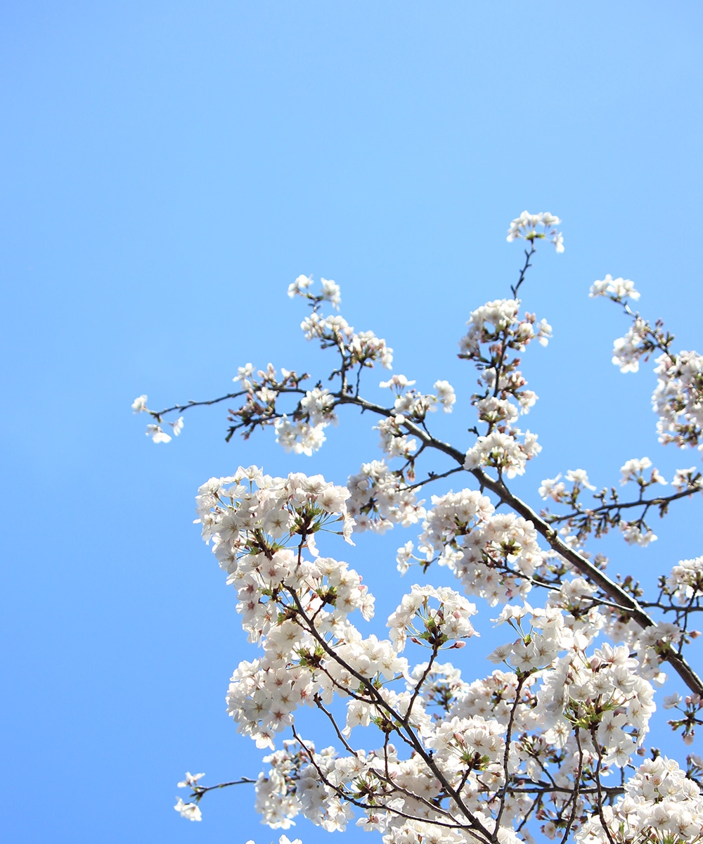 4月の雨の日、何着よう？を解決。